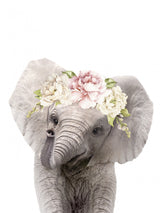 Floral Baby Elephant Poster och Canvastavla
