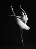 Graceful Poster och Canvastavla