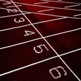 startgrid Poster och Canvastavla