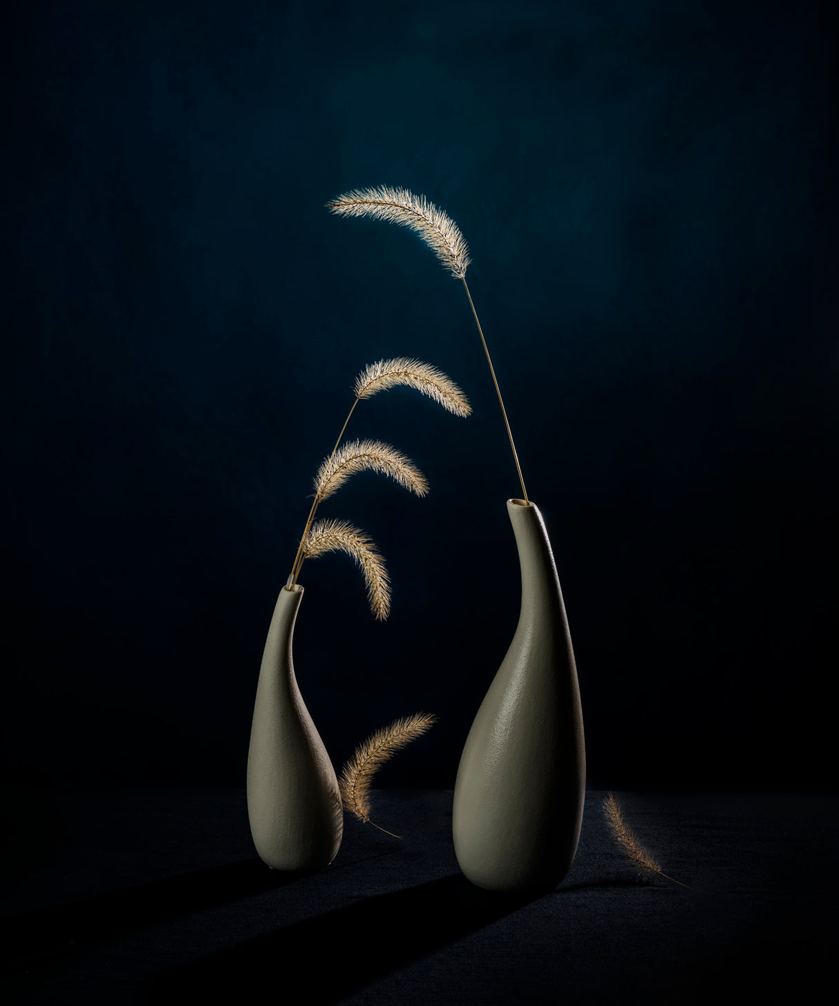 Dogtail grass Poster och Canvastavla