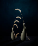 Dogtail grass Poster och Canvastavla