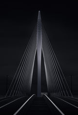 The Prince Claus Bridge in the Netherlands Poster och Canvastavla