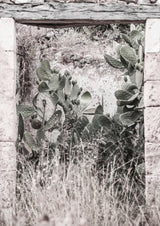 Nature Rules Poster och Canvastavla