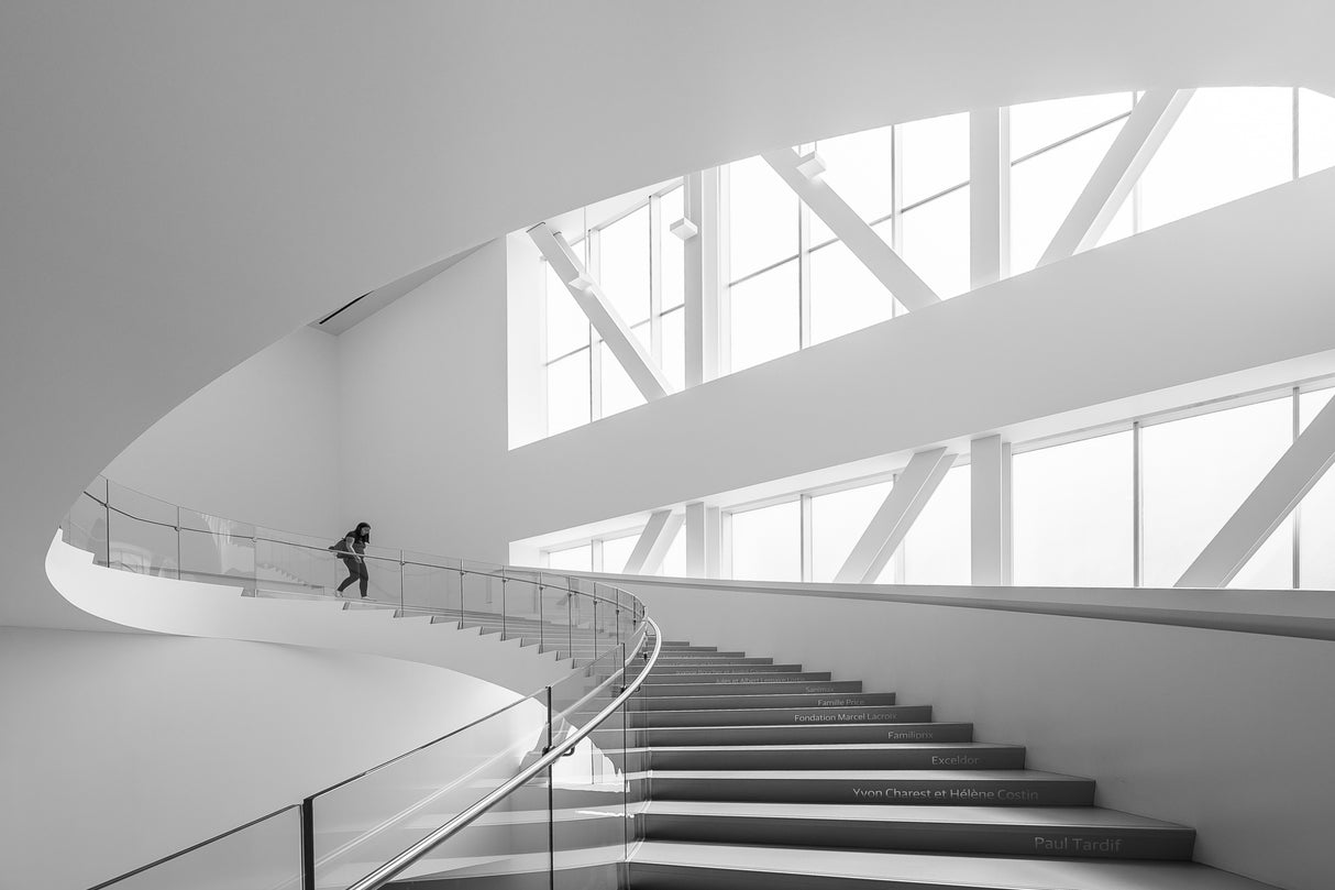 On the S-shaped stairs Poster och Canvastavla