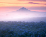 Iceland - Morning Calmness Poster och Canvastavla