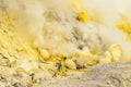 In the Sulfur Poster och Canvastavla