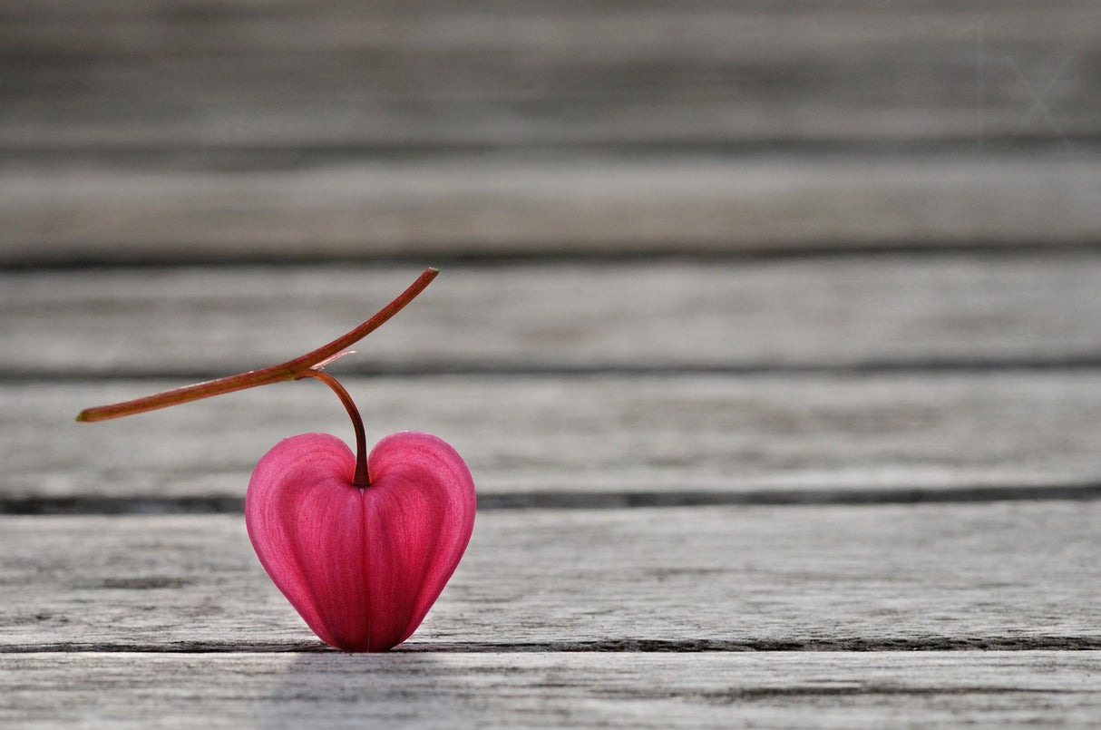 Natural heart Poster och Canvastavla