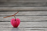 Natural heart Poster och Canvastavla