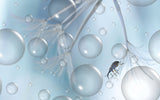 In a world of bubbles... Poster och Canvastavla