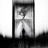 lost in dreams Poster och Canvastavla