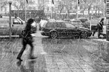 First snow Poster och Canvastavla