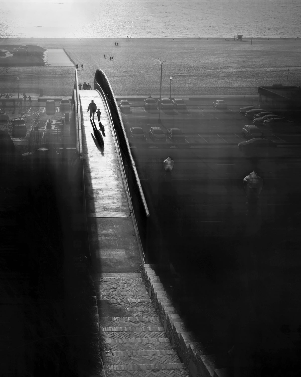 The call of ocean Poster och Canvastavla