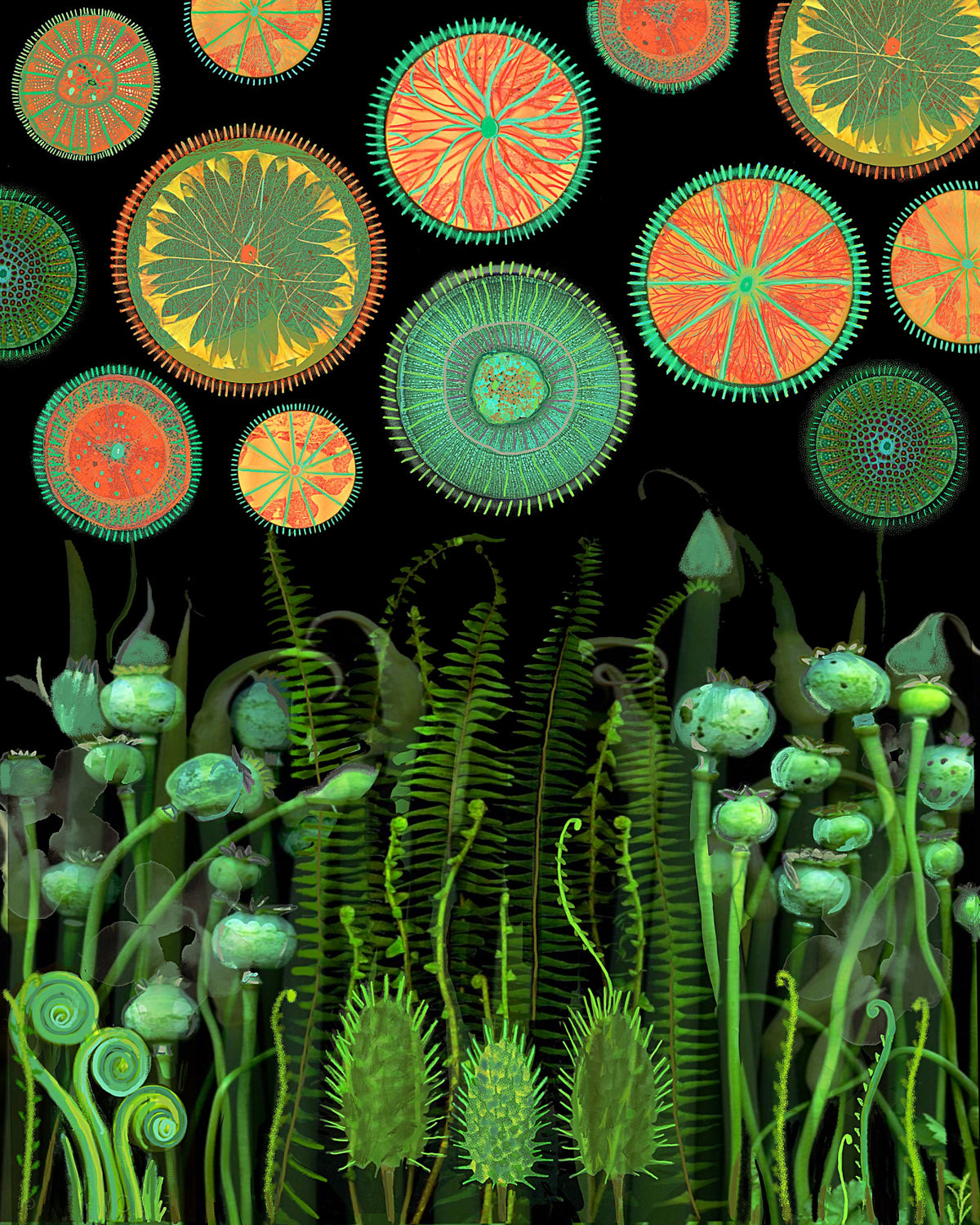 Psychedelic.png Poster och Canvastavla