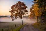 Countryside vibes Poster och Canvastavla