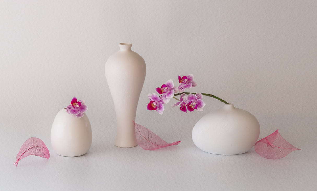 Pink Orchid Poster och Canvastavla