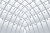 All White Poster och Canvastavla