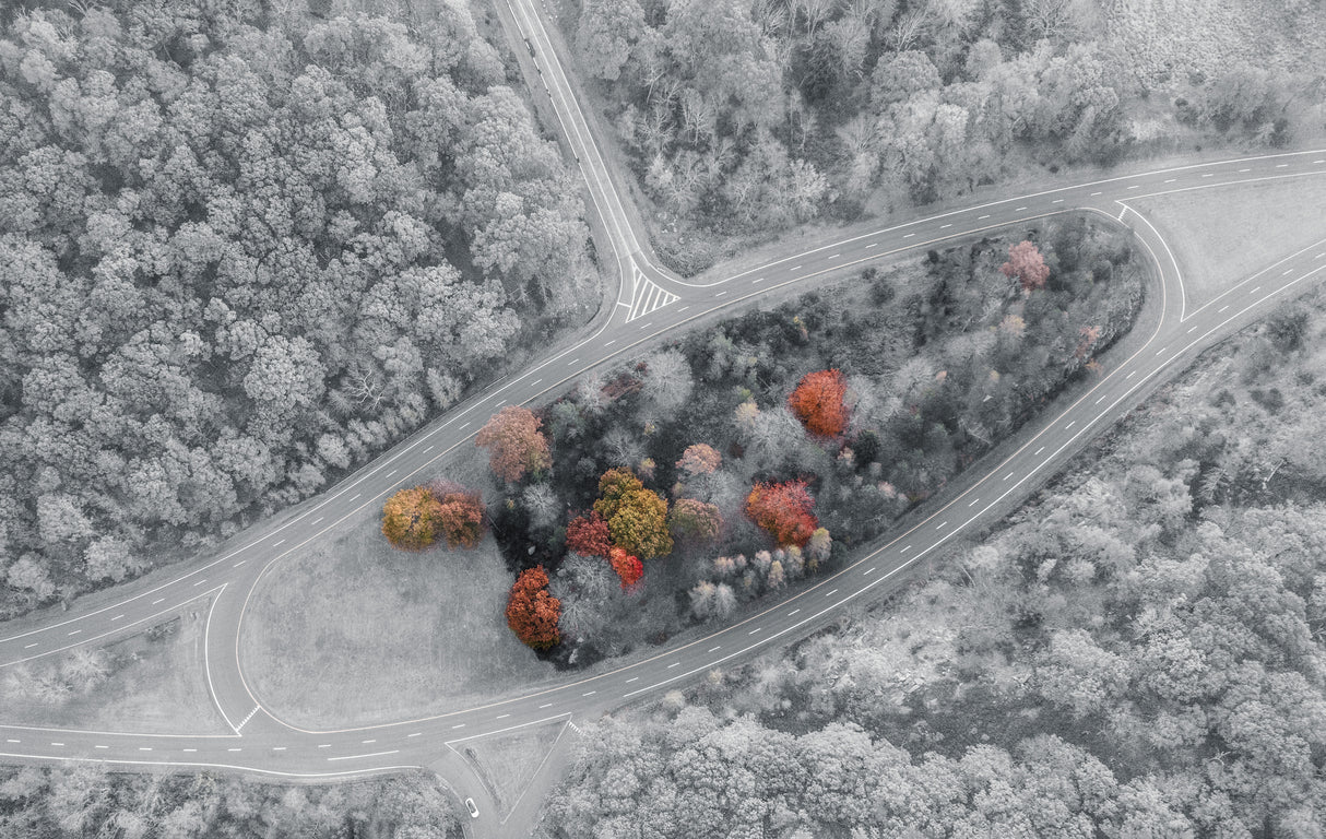 Autumn meets winter Poster och Canvastavla
