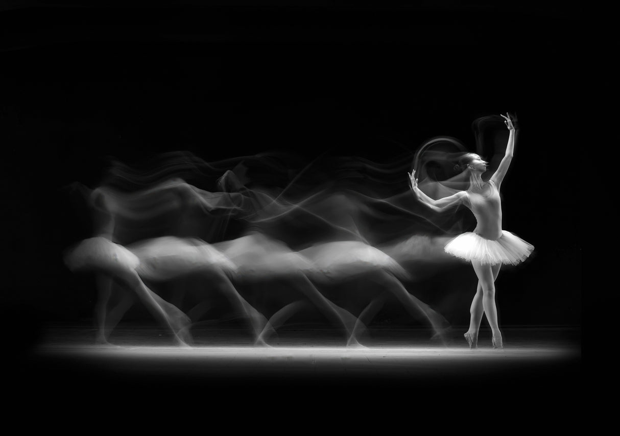 Balerina Steps Poster och Canvastavla