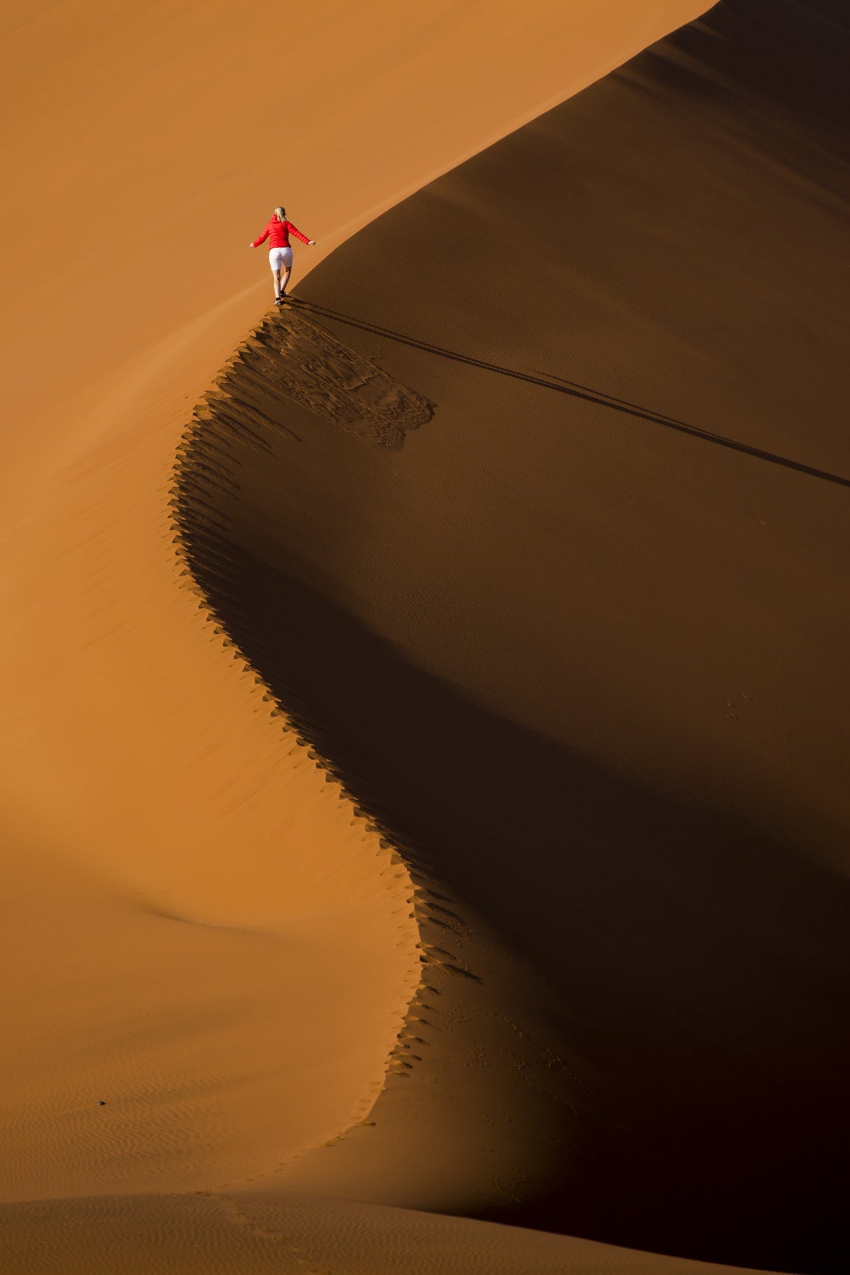 Sossusvlei vlei in Namibia Poster och Canvastavla