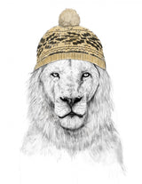 Winter Lion Poster och Canvastavla