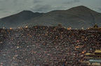Larung Gar Buddist Institute Poster och Canvastavla