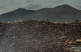 Larung Gar Buddist Institute Poster och Canvastavla