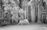 Perfect Winter Poster och Canvastavla