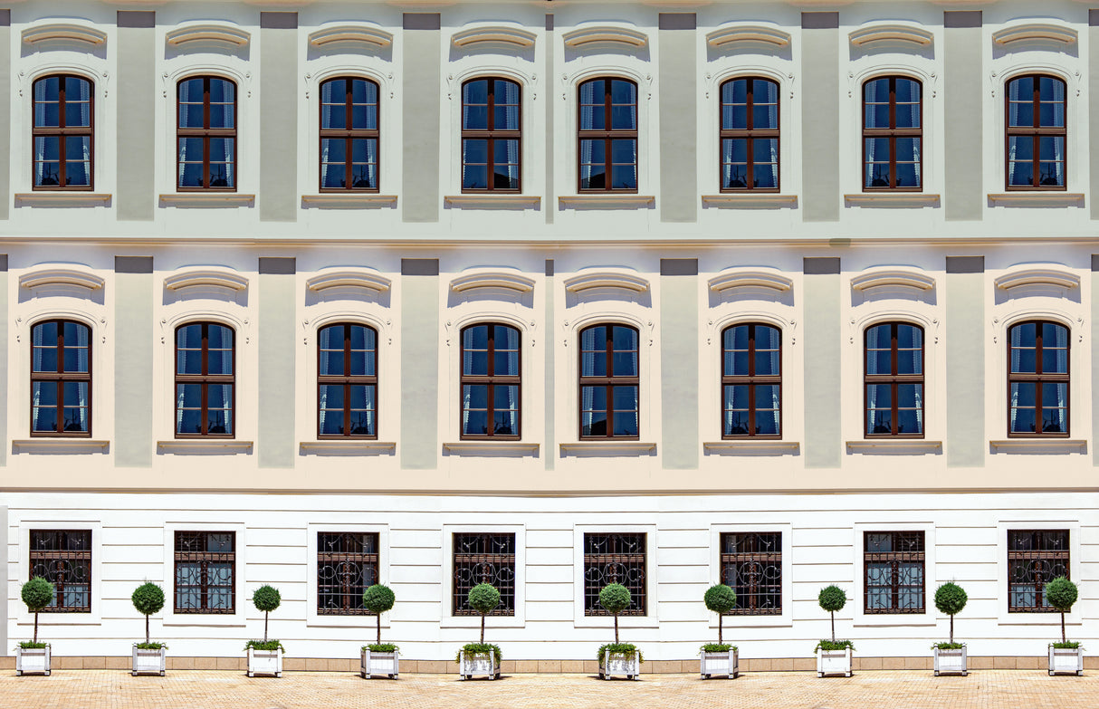 Old window facade Poster och Canvastavla