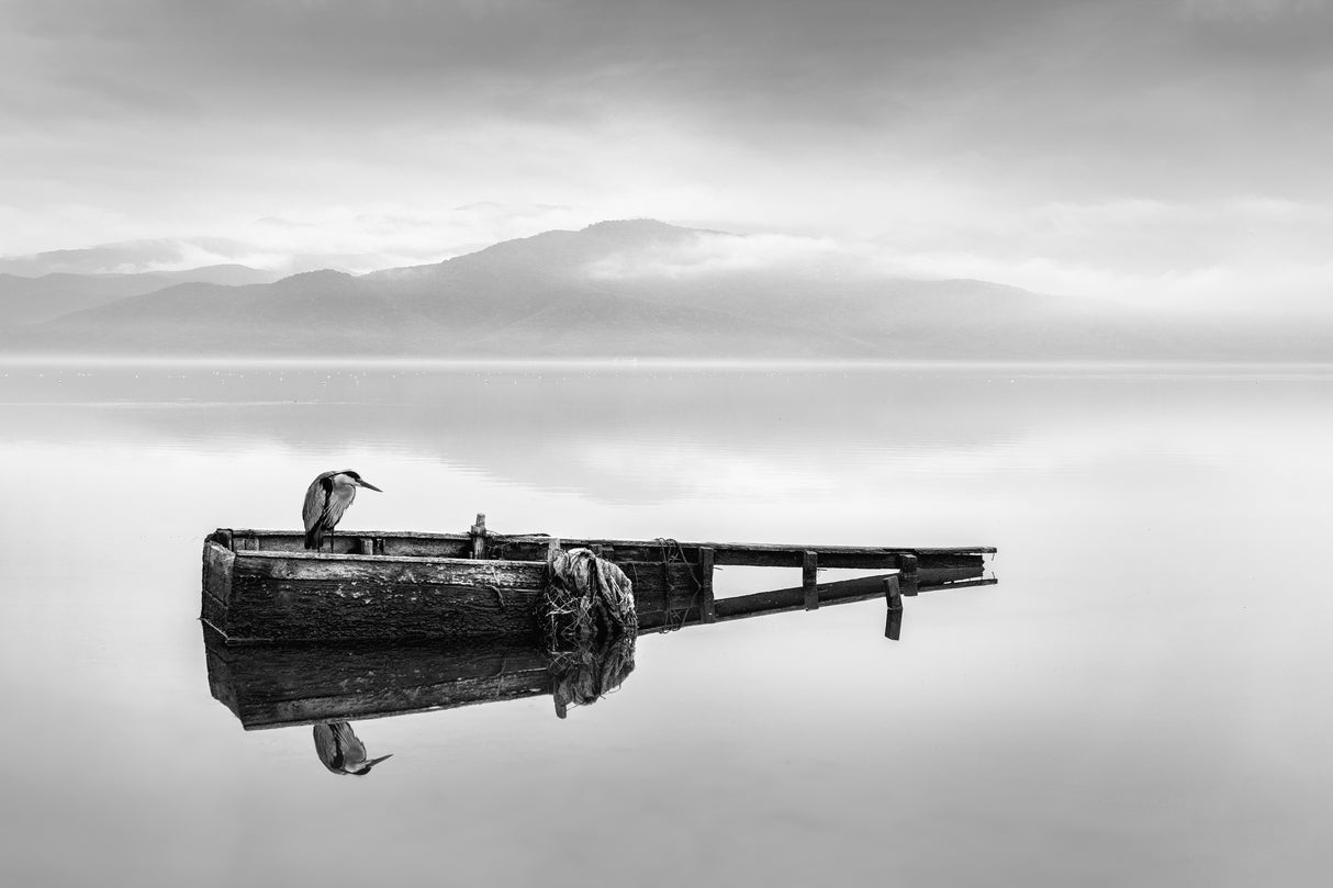 Heron on a Boat I Poster och Canvastavla
