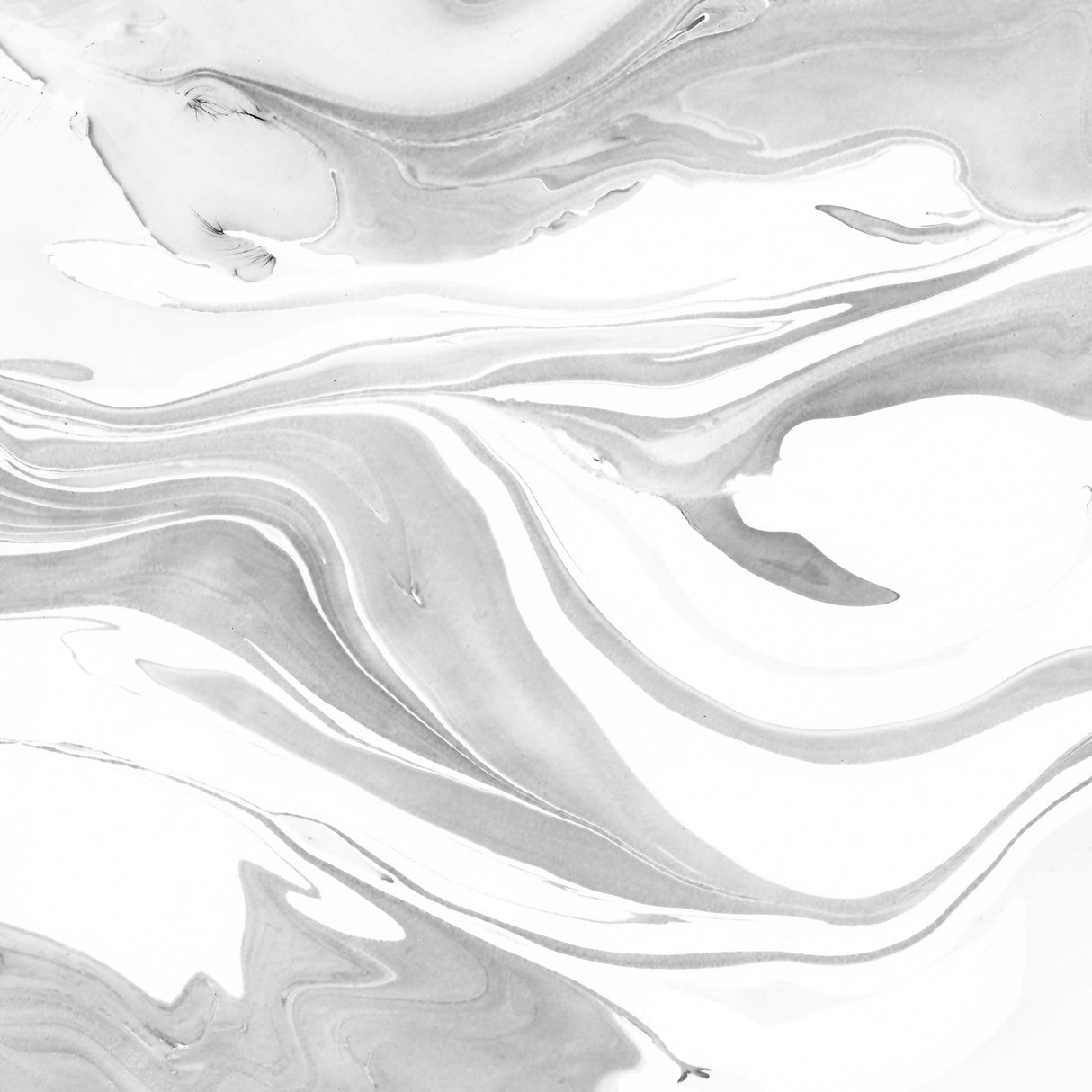 Ink Marbling Black and White 04 Poster och Canvastavla