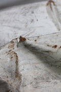 corrugated iron_1 Poster och Canvastavla