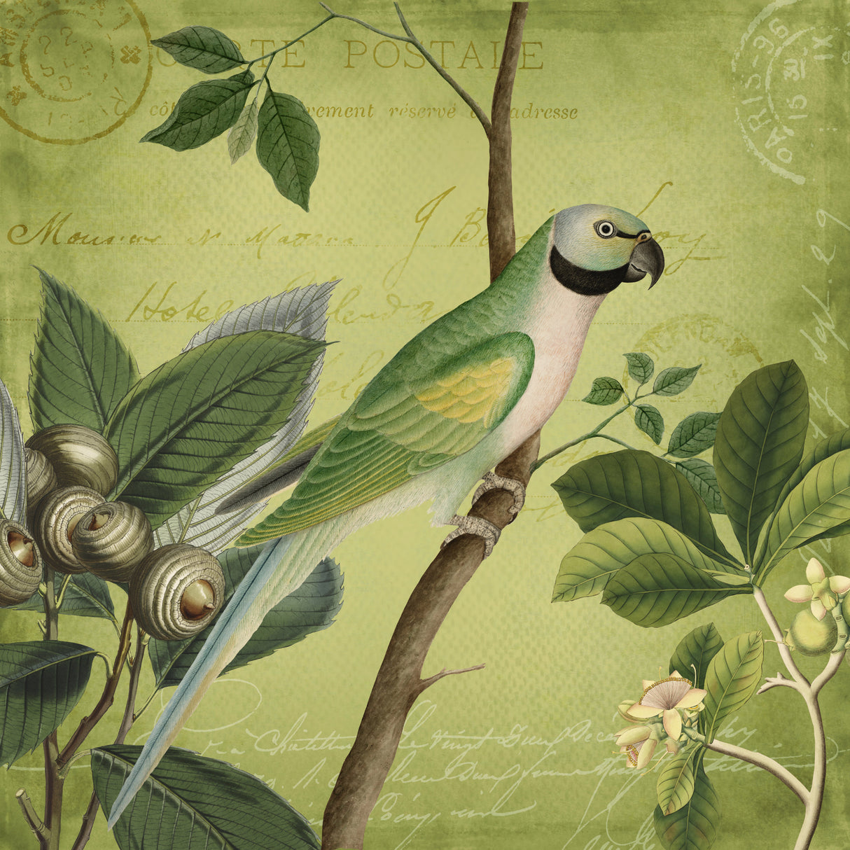 Bird Paradise Garden Poster och Canvastavla