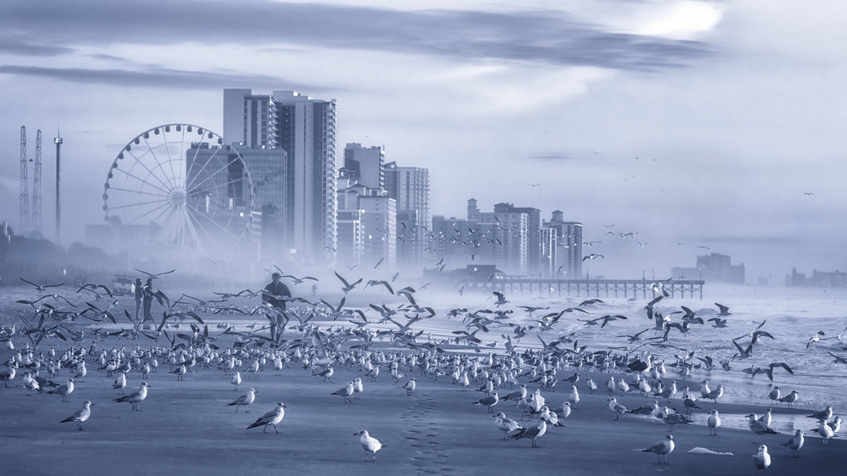 The Man and the Birds Poster och Canvastavla