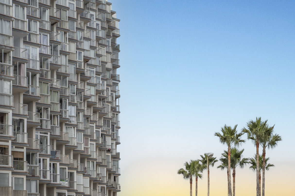 Palms and apartments Poster och Canvastavla