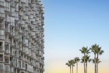 Palms and apartments Poster och Canvastavla