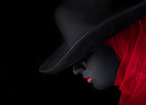 Black Beauty Poster och Canvastavla