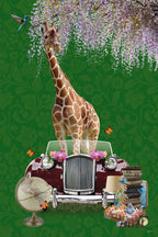 Giraffe will Travel Poster och Canvastavla