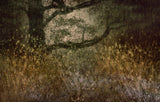 Autumn is coming Poster och Canvastavla