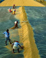 Rural life Poster och Canvastavla
