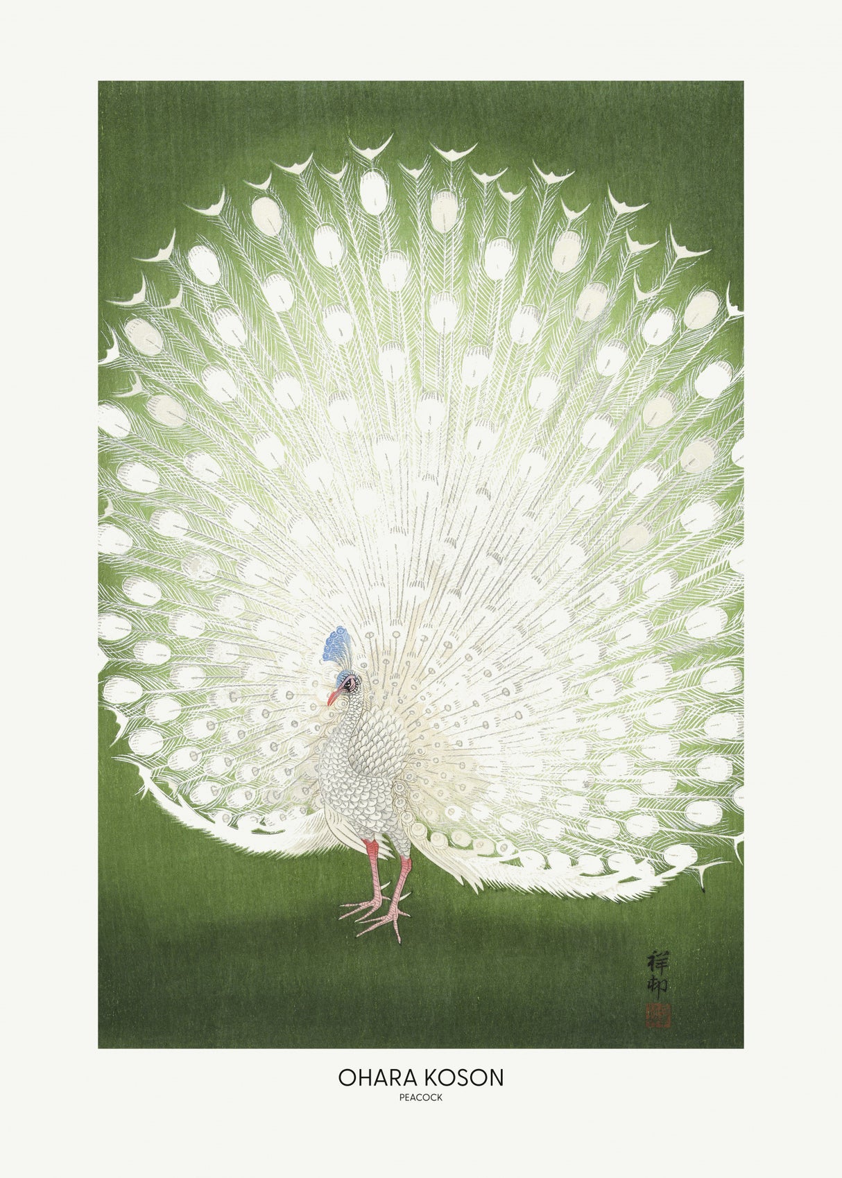 Peacock - Cropped Poster och Canvastavla