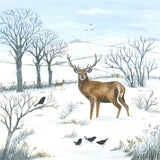 Winter Stag Poster och Canvastavla