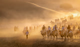 Camel Caravan Poster och Canvastavla