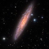 Sculptor Galaxy Poster och Canvastavla