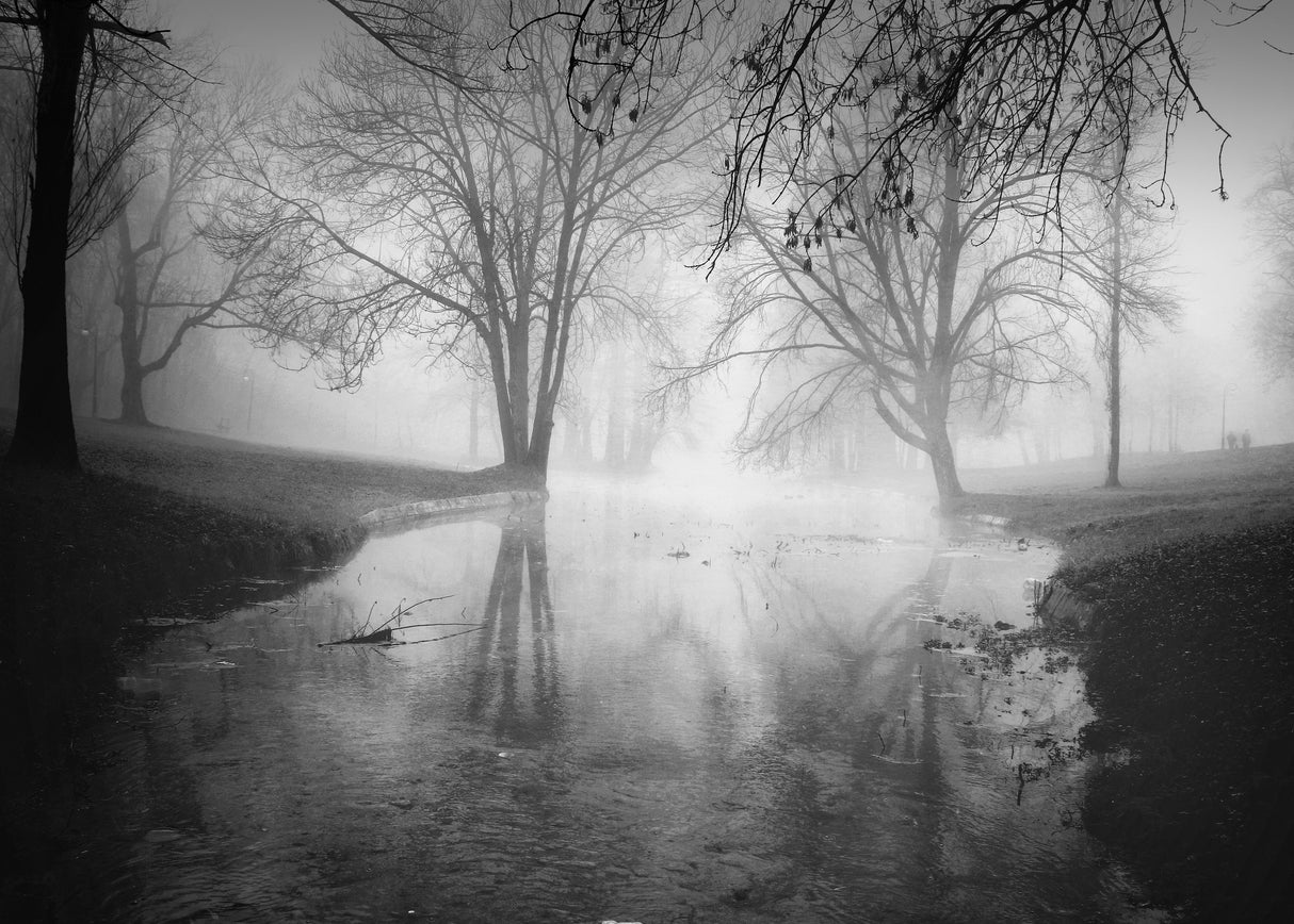 foggy morning2 Poster och Canvastavla