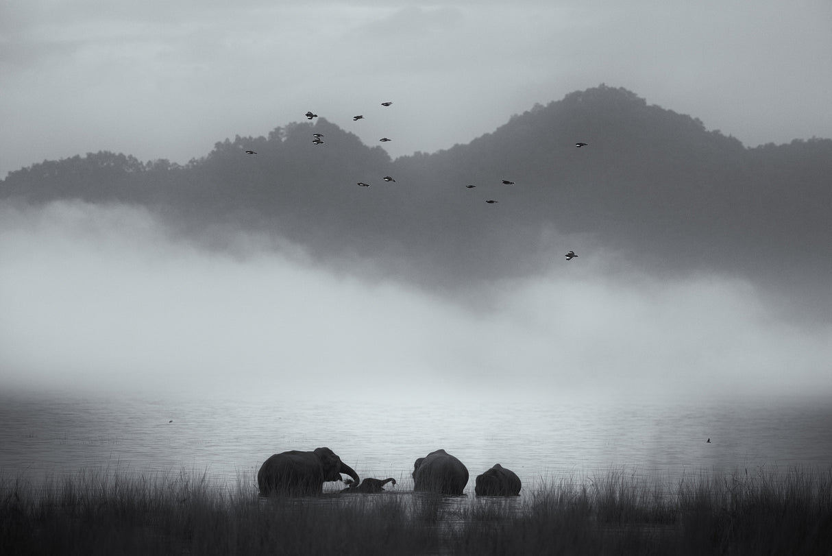 misty moments Poster och Canvastavla