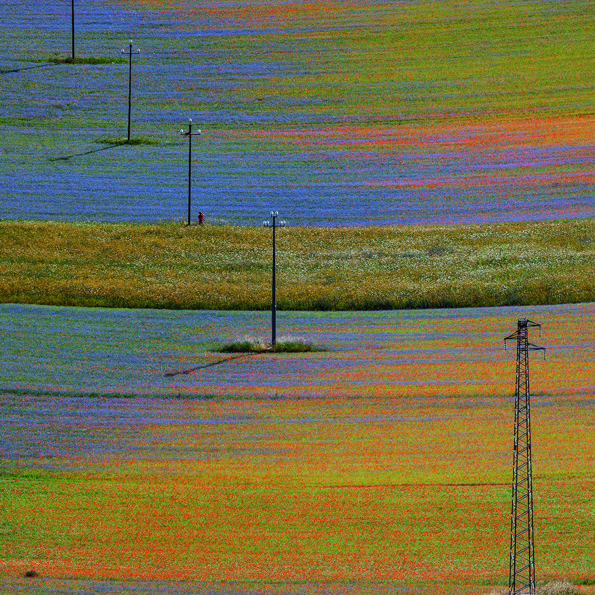 Castelluccio 1 Poster och Canvastavla