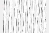 Line on Line Poster och Canvastavla