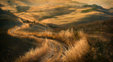 Road... Poster och Canvastavla