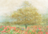 A Dream of Summer Poster och Canvastavla