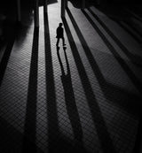 Shadows Poster och Canvastavla